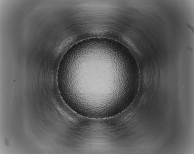 X0000101690494200807101516