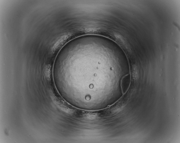 X0000101690495200807101516