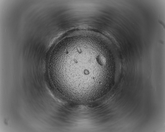 X0000101690496200807101516