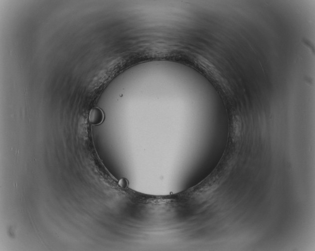 X0000101690497200807101516