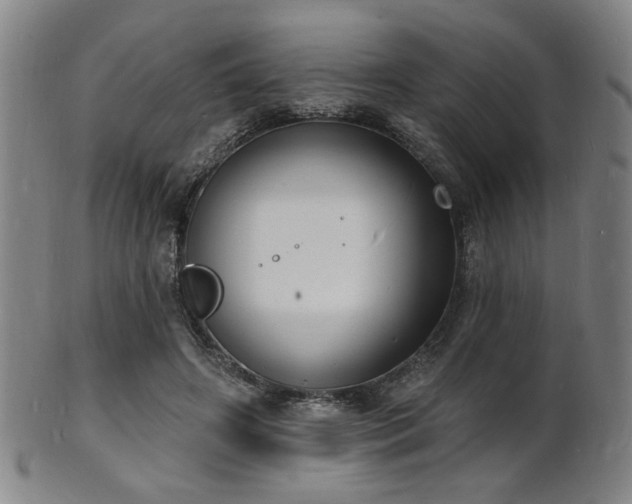 X0000101690498200807101516