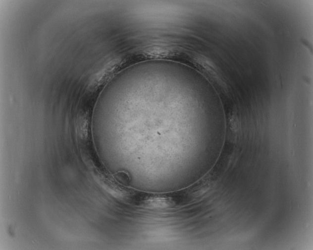 X0000101690499200807101516