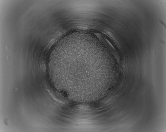 X0000101690500200807101516