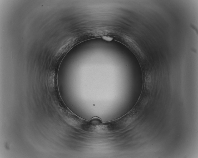 X0000101690501200807101516