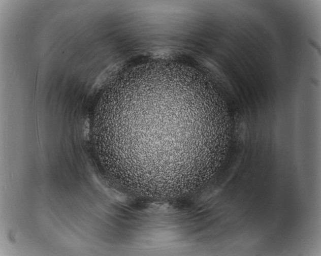 X0000101690502200807101516