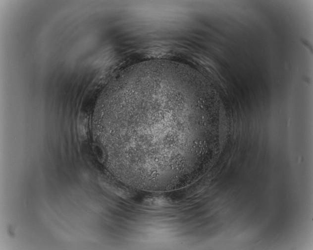 X0000101690503200807101516