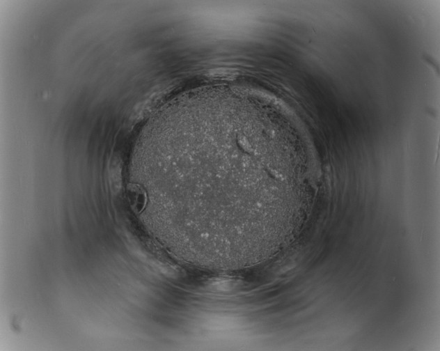 X0000101690504200807101516