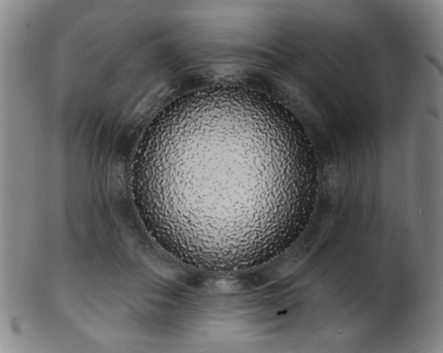 X0000101690506200807101516