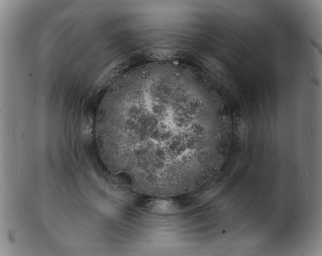 X0000101690507200807101516