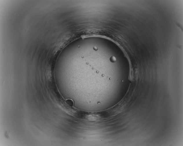 X0000101690508200807101516