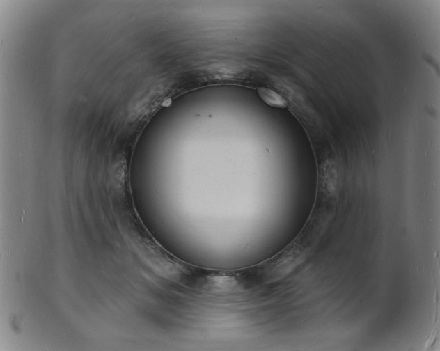 X0000101690509200807101516