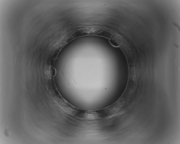 X0000101690510200807101516