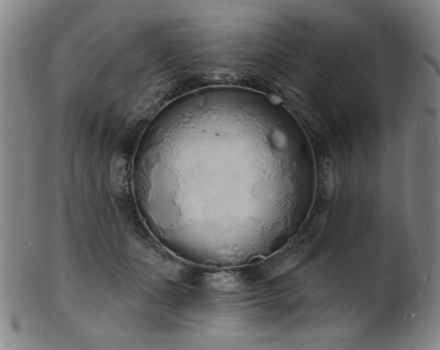 X0000101690511200807101516