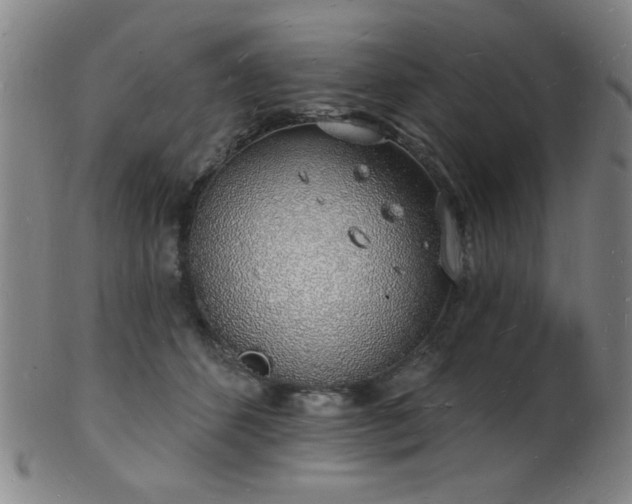 X0000101690512200807101516