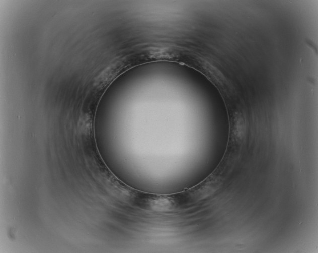 X0000101690513200807101516