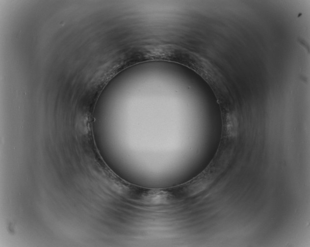 X0000101690514200807101516