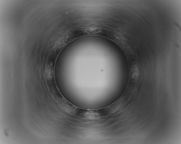 X0000101690515200807101516