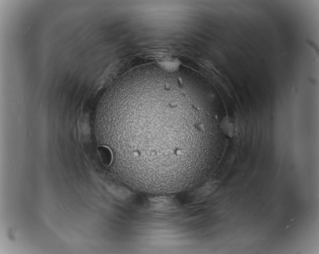 X0000101690516200807101516