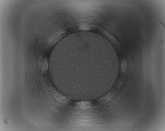 X0000101690517200807101516