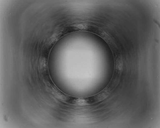 X0000101690518200807101516