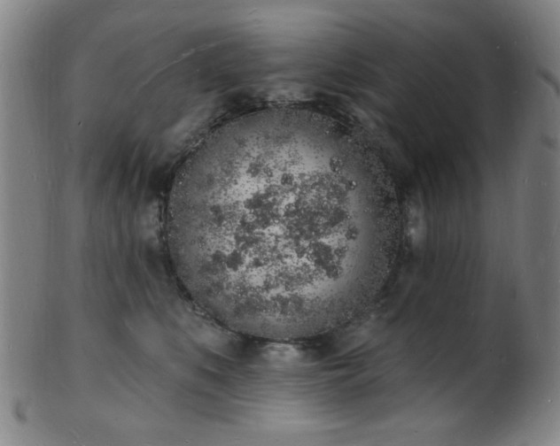 X0000101690519200807101516