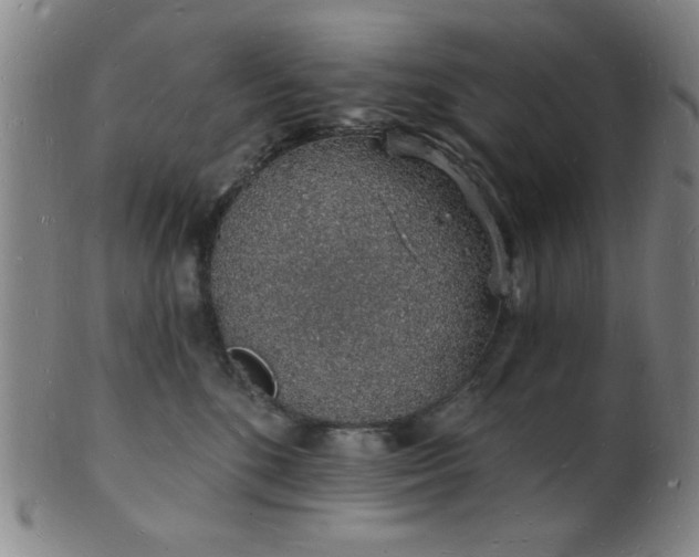 X0000101690520200807101516