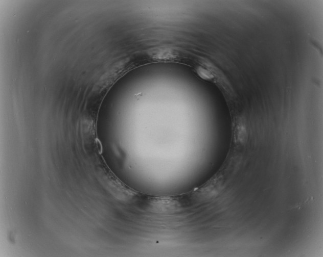 X0000101690521200807101516