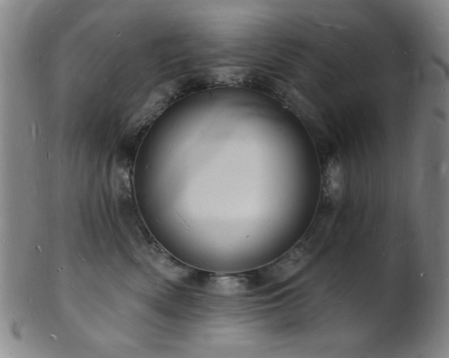 X0000101690522200807101516