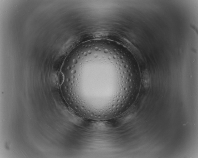 X0000101690523200807101516