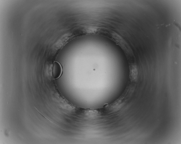 X0000101690525200807101516