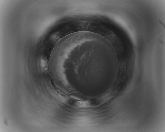 X0000101690526200807101516