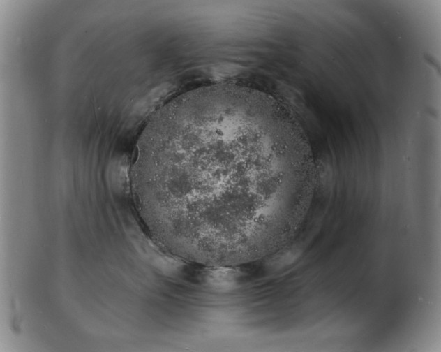 X0000101690527200807101516