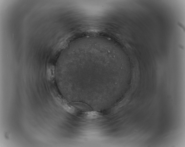 X0000101690528200807101516