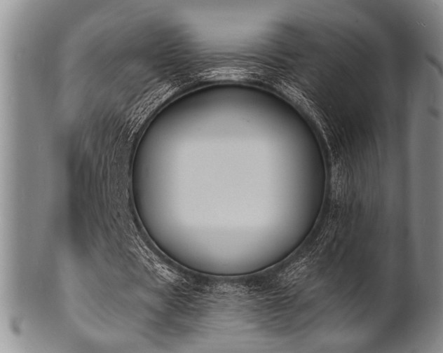 X0000101690529200807101515