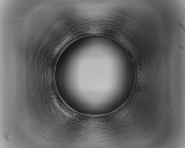 X0000101690530200807101515