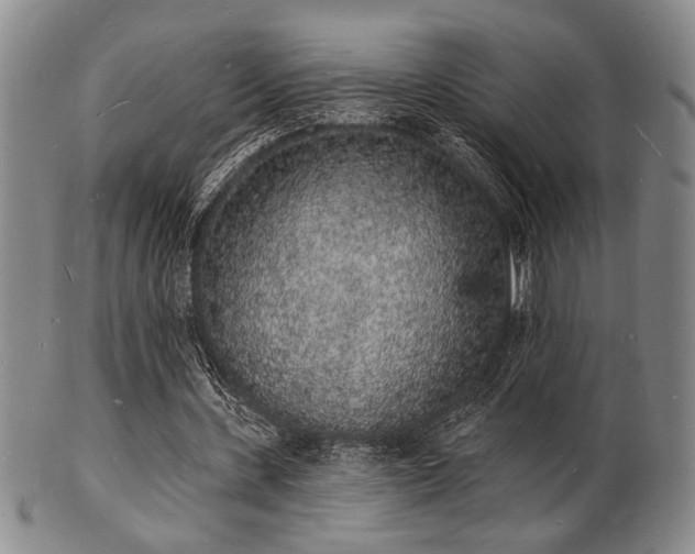 X0000101690531200807101515