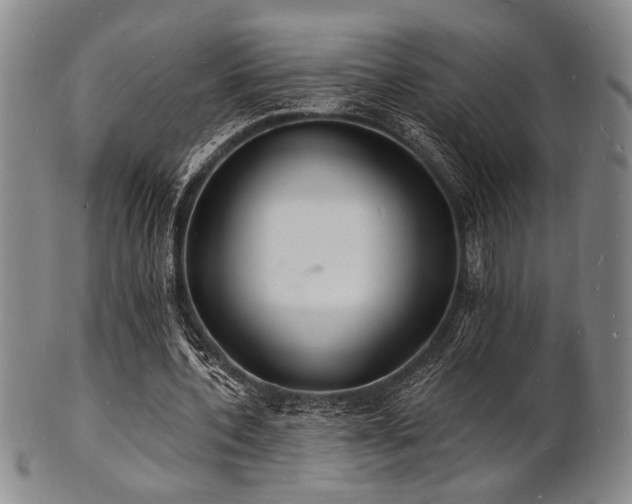 X0000101690532200807101515