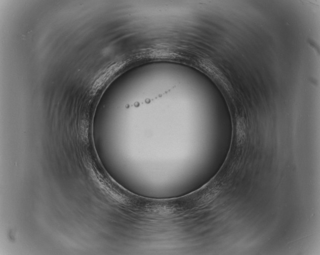 X0000101690533200807101515