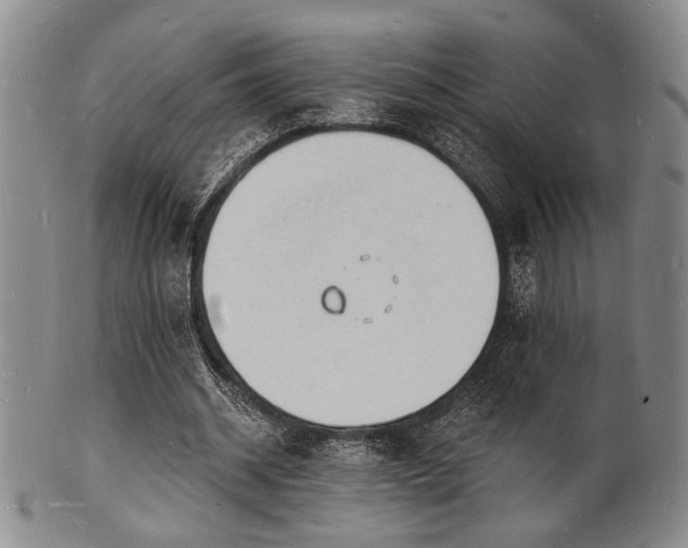 X0000101690534200807101515