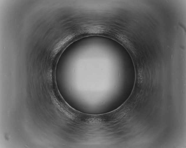 X0000101690535200807101515