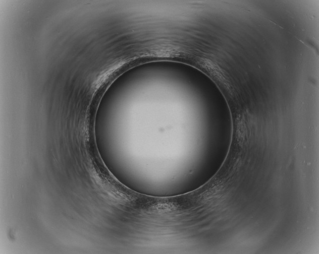 X0000101690536200807101515