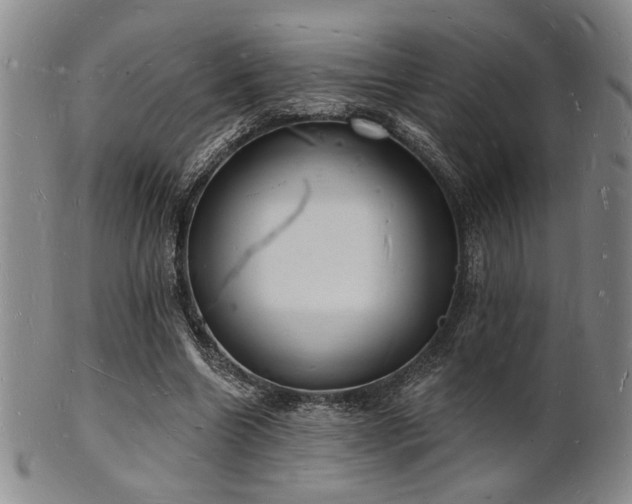 X0000101690538200807101515