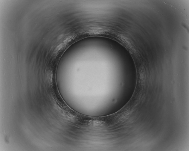 X0000101690539200807101515