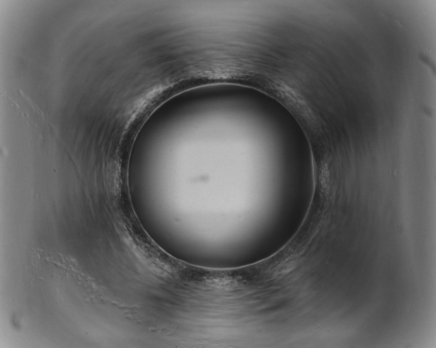 X0000101690540200807101515