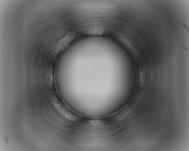 X0000101690541200807101515