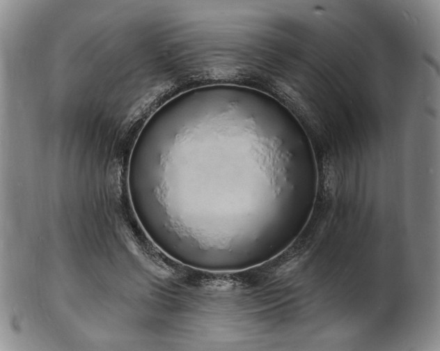 X0000101690542200807101515