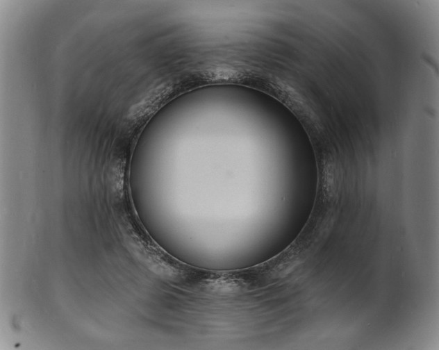 X0000101690545200807101515