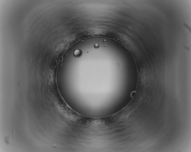 X0000101690546200807101515