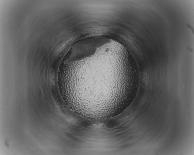 X0000101690547200807101515