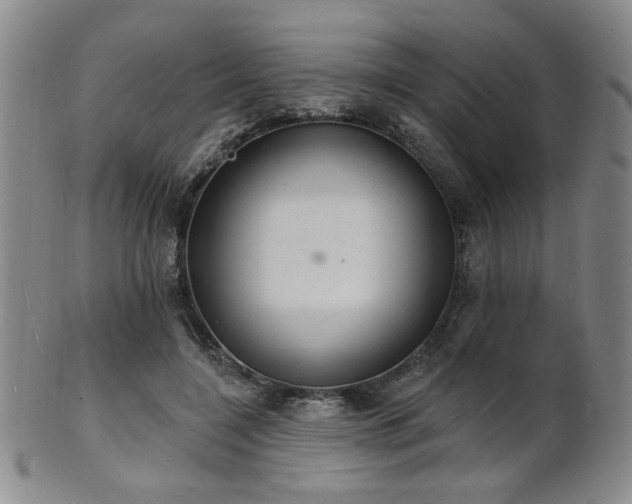 X0000101690548200807101515